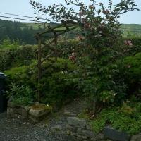 Honeysuckle over the arch that leads around the garden.