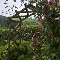 Archway to the secret path around the garden.